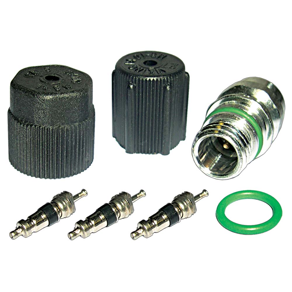 1981 Chevrolet G30 a/c system valve core and cap kit 