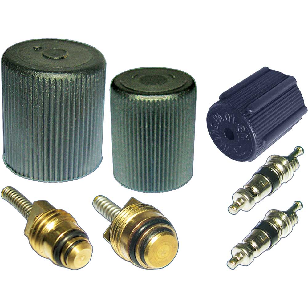 2005 Lincoln LS a/c system valve core and cap kit 