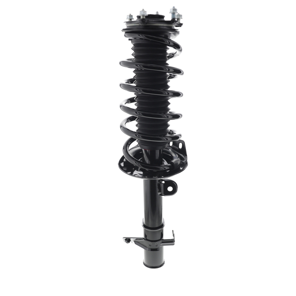 Strut and Coil Spring Assembly