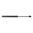 BuyAutoParts TQ-T1077AN Trunk Lid Lift Support 1