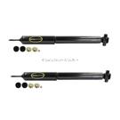 2011 Lincoln Town Car Shock and Strut Set 1