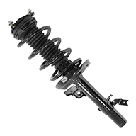 Strut and Coil Spring