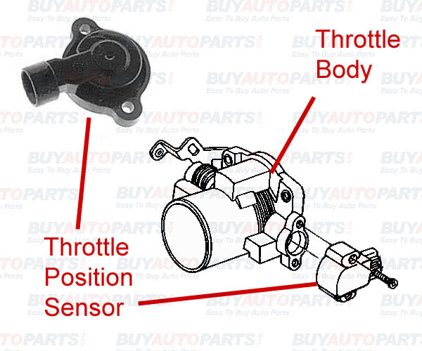 https://www.buyautoparts.com/images/throttle-position-sensor.jpg